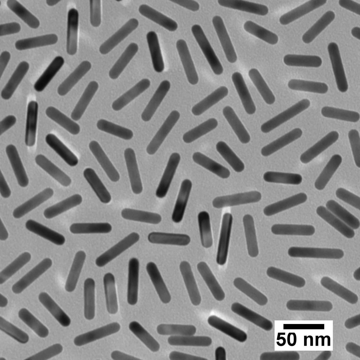 Gold Nanorods