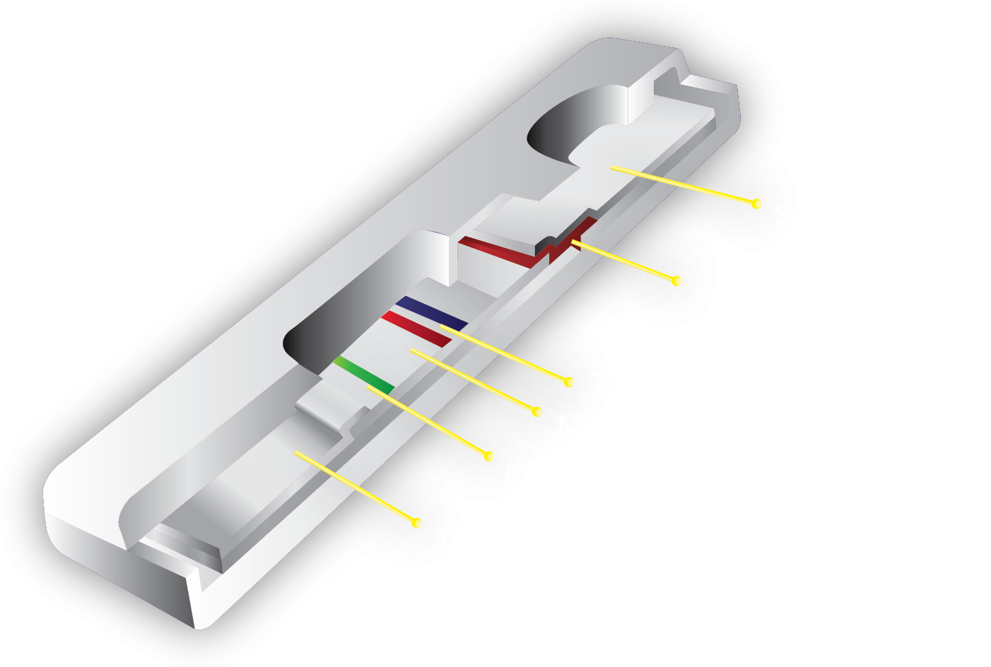 Sona Nanotech Lateral Flow Test