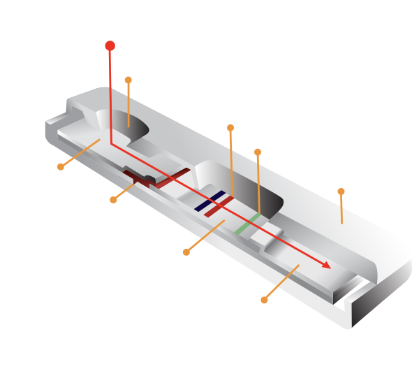 Lateral-FLow