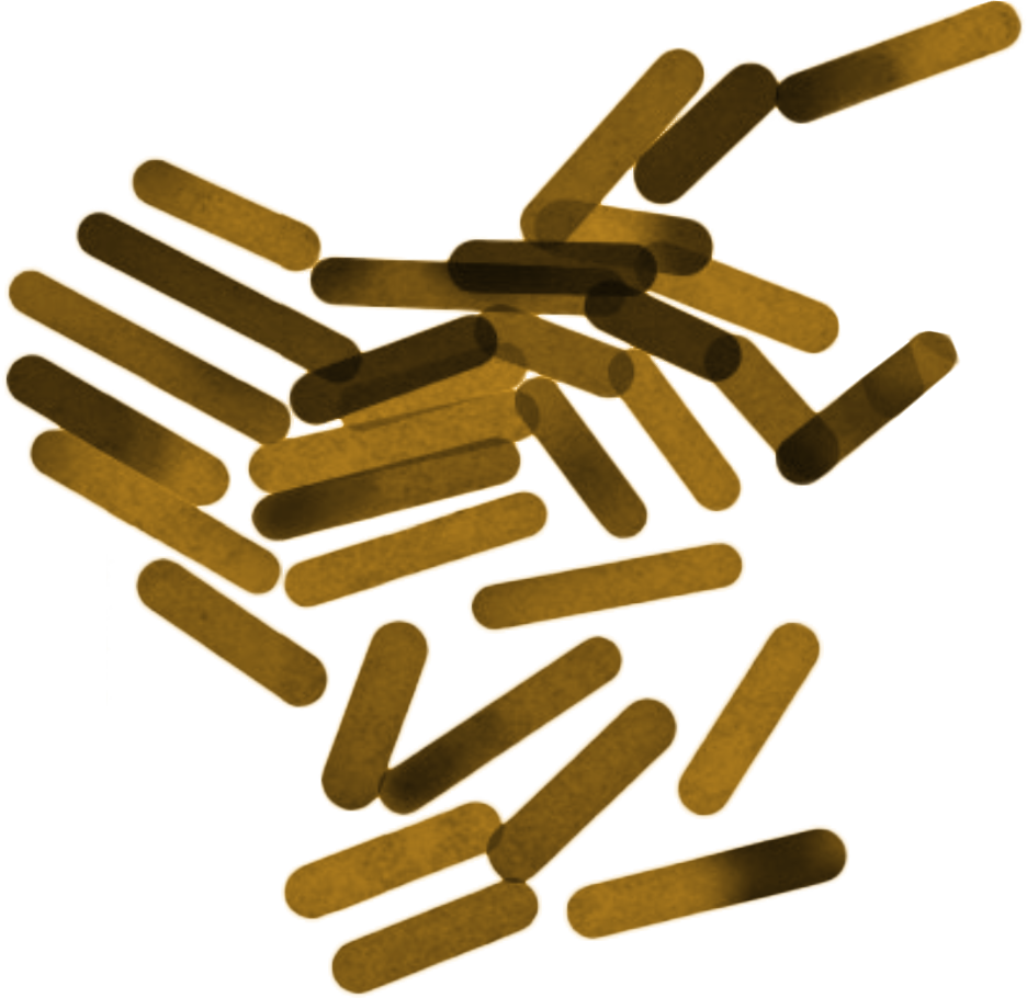 Nanorods_gold_transparent