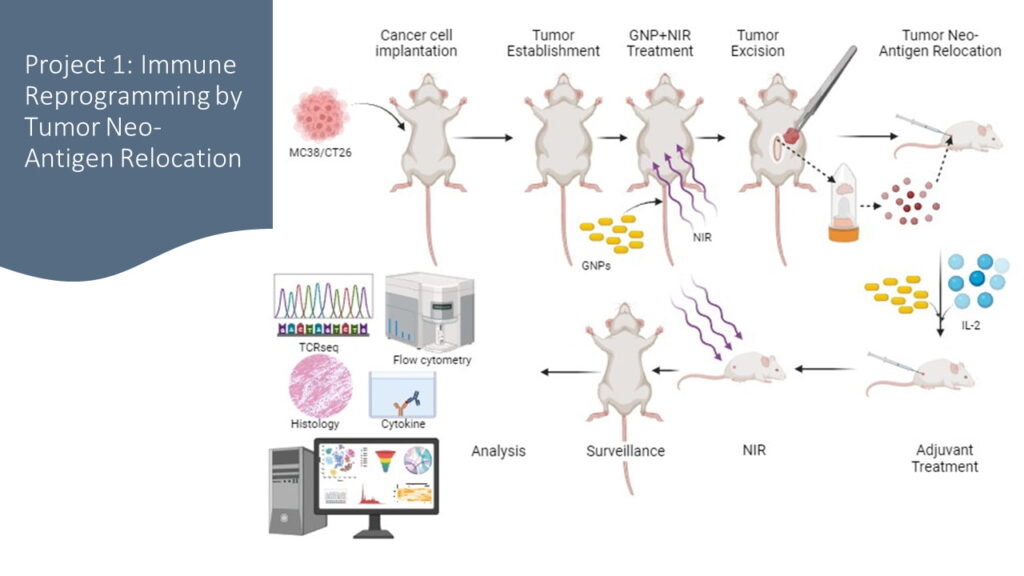 SONA Nanotech - The Giacomantonio Immuno-Oncology Research Group - Project 1