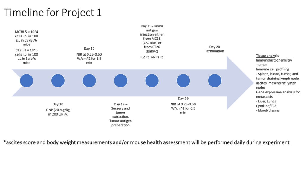SONA Nanotech - The Giacomantonio Immuno-Oncology Research Group - Project 1 Timeline