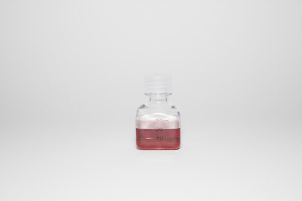 Sona Gold Nanorods - Image 2