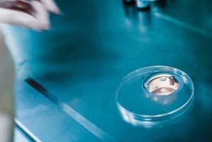 BioVaxys and Sona Nanotech Enter Research Collaboration